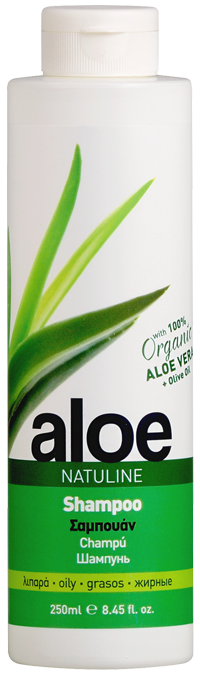 aloe shampoo oily
